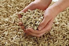 Què és un pellet de fusta de biomassa?